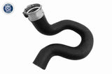 Charge Air Hose - V24-1289