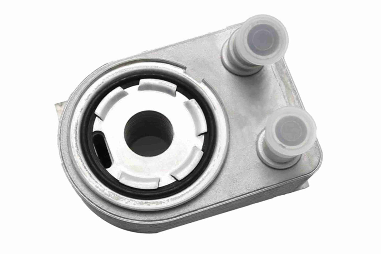 Oil Cooler, engine oil - V33-60-0038