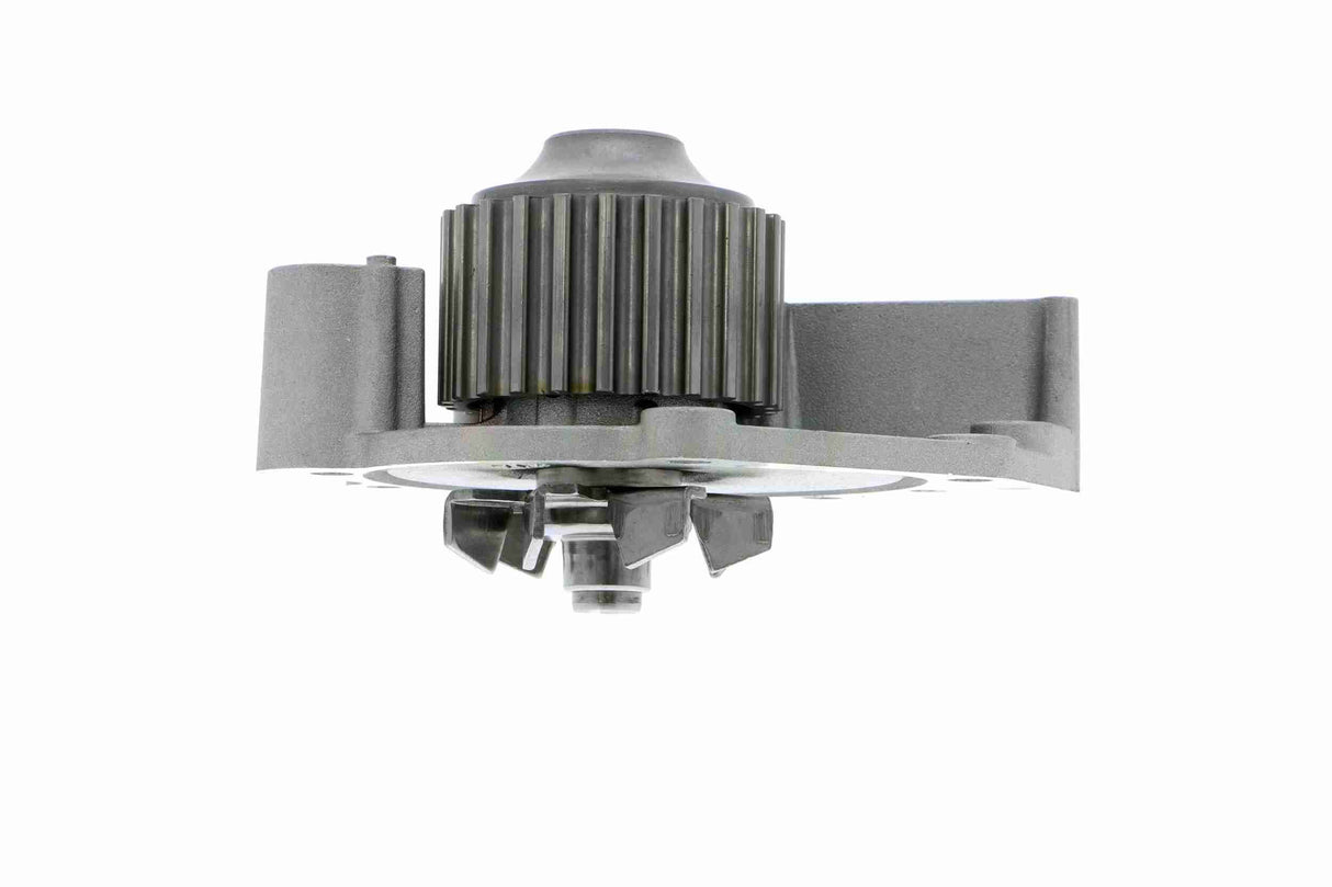 Water Pump, engine cooling - V48-50001