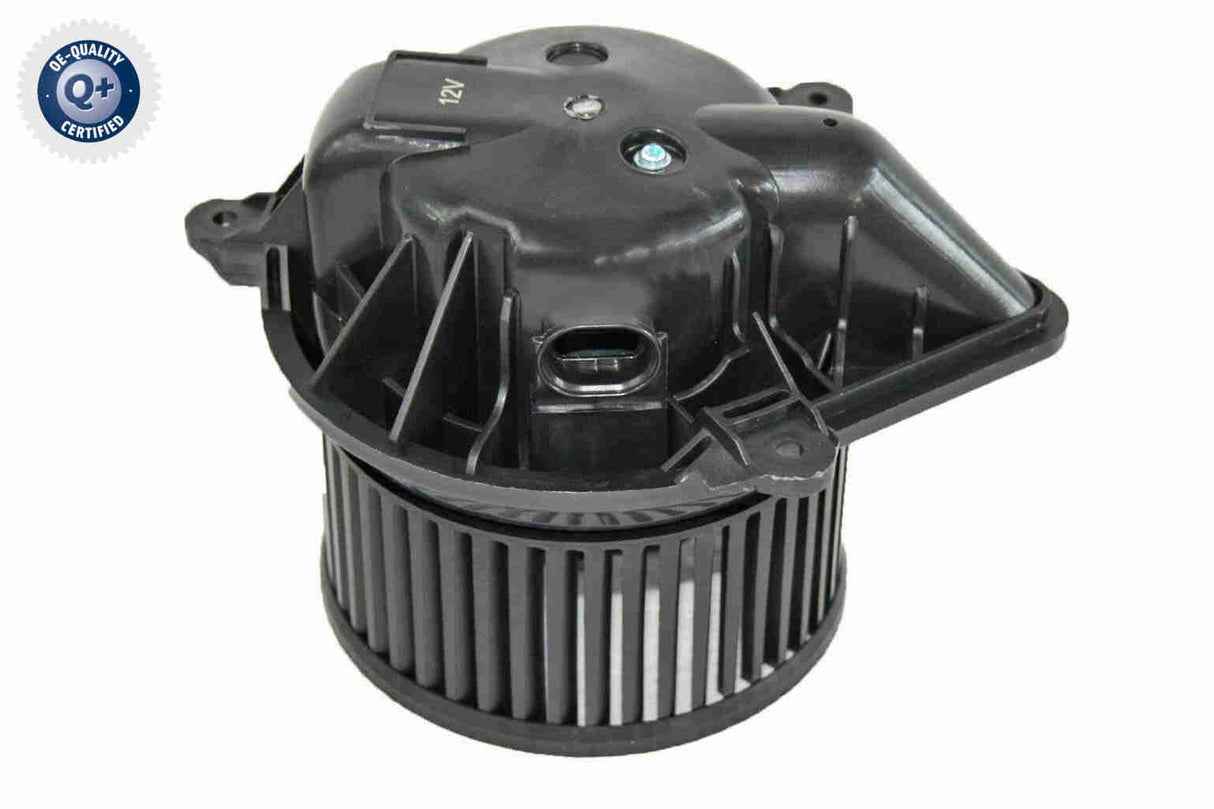 Interior Blower - V46-03-1359