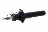 Shock Absorber - V20-4258