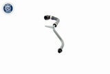 Radiator Hose - V20-0879
