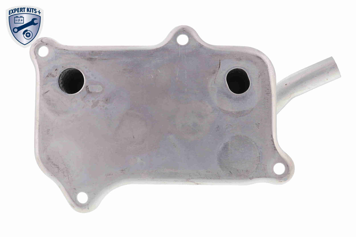 Oil Cooler, engine oil - V30-60-1266