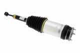 Air Suspension Strut - V58-50-0006