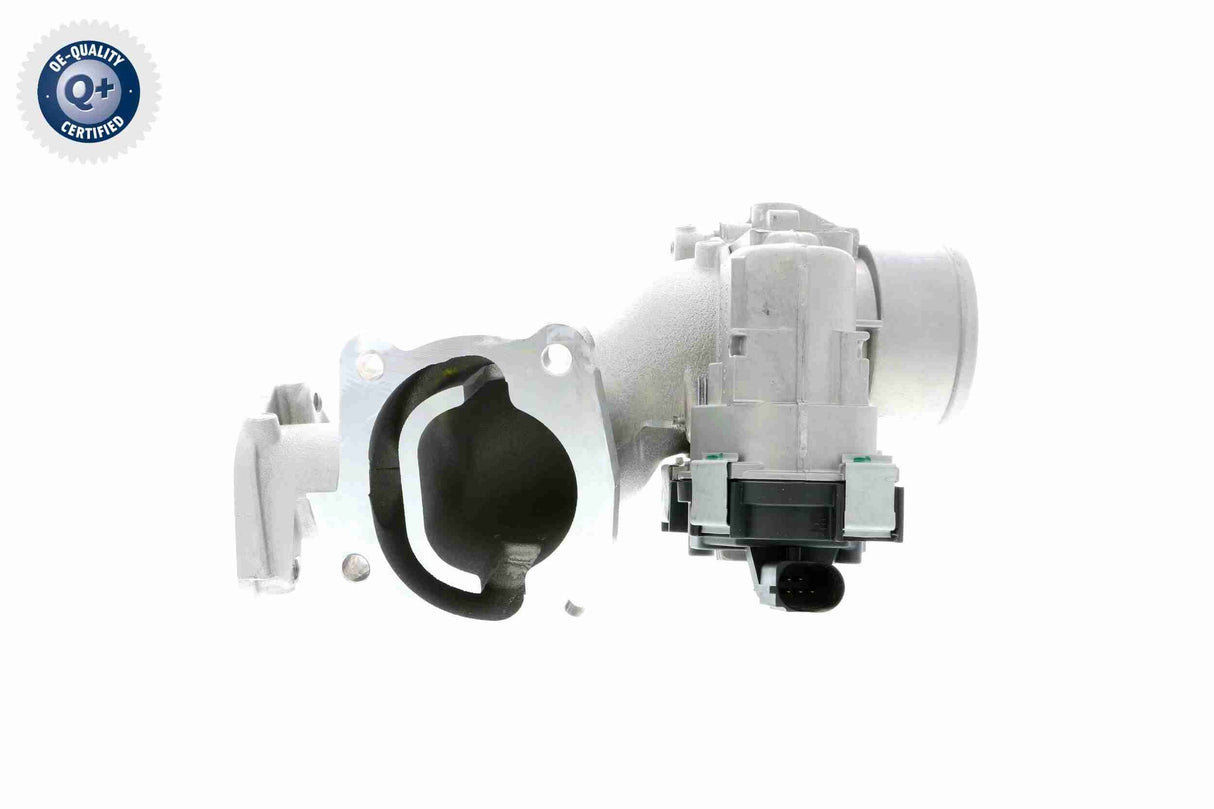 Throttle Body - V24-81-0010