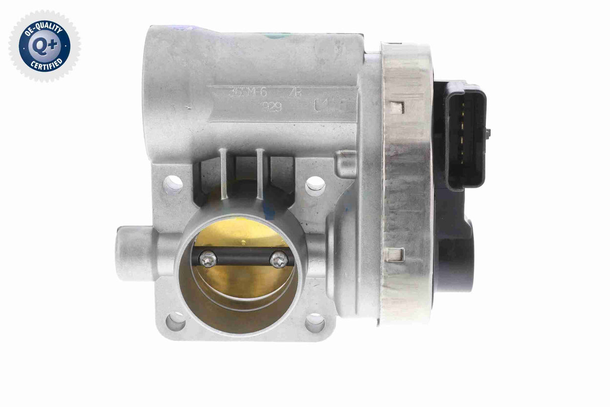 Throttle Body - V24-81-0011