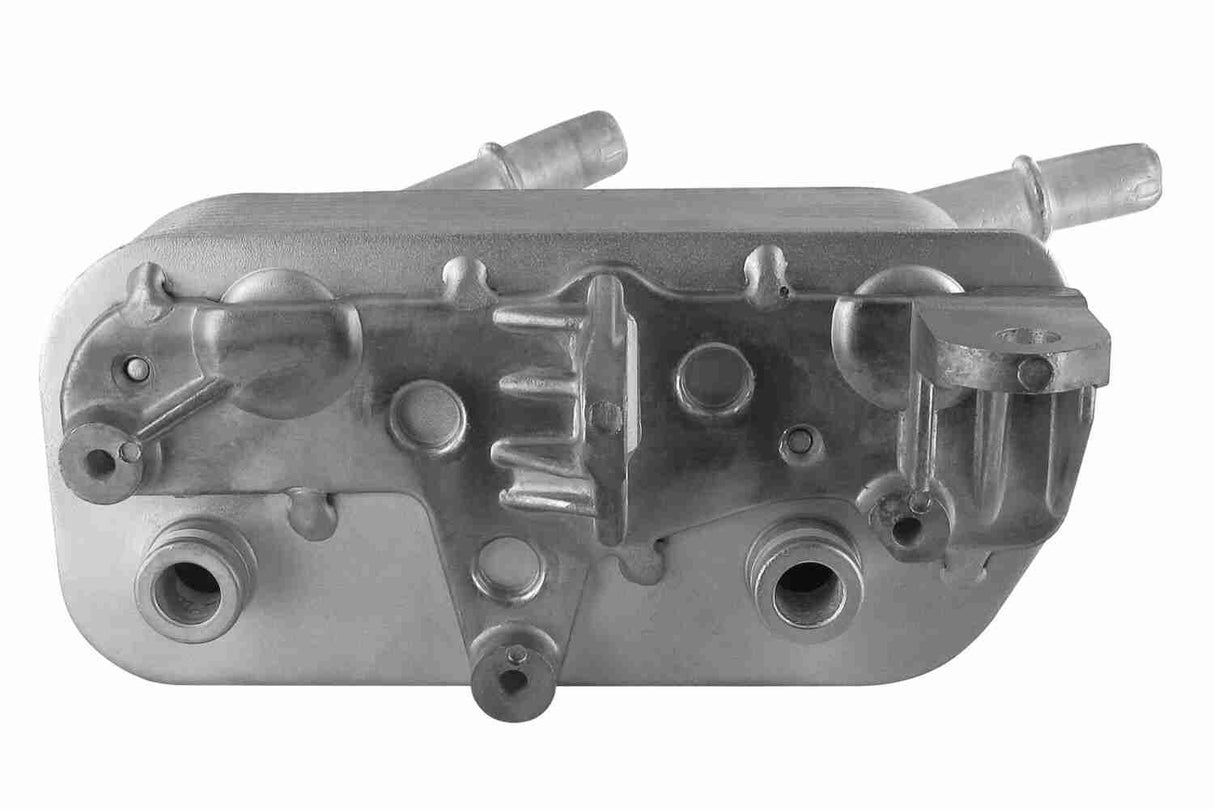Oil Cooler, engine oil - V20-60-0004