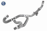 Radiator Hose - V25-1224
