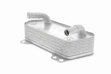 Oil Cooler, engine oil - V10-60-0008