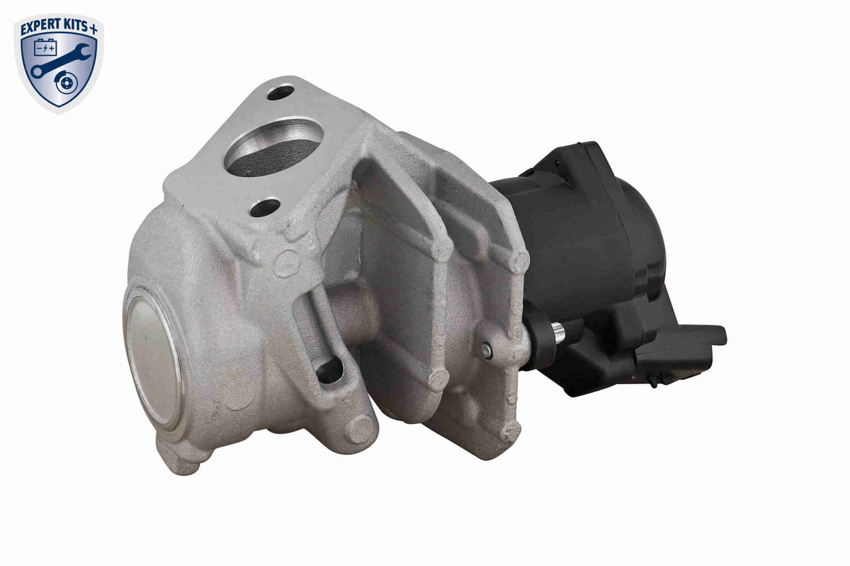 Valve, exhaust gas recirculation - V22-63-0005