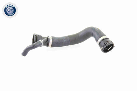 Radiator Hose - V20-1781