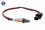 Oxygen Sensor - V30-76-0059
