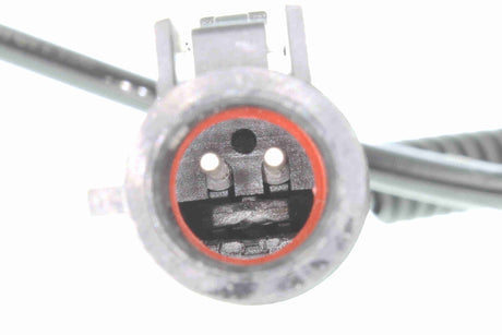 Sensor, wheel speed - V25-72-1118