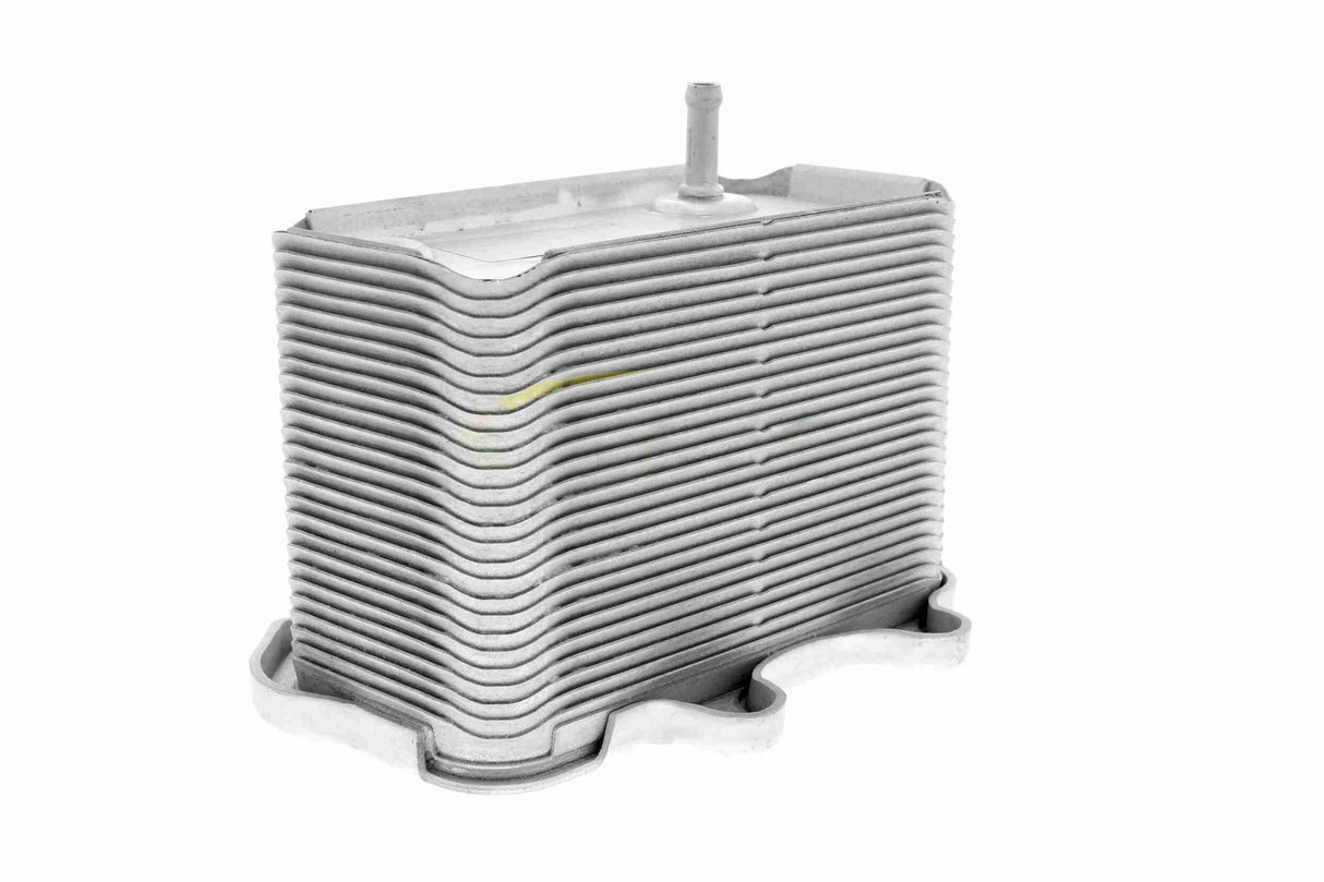 Oil Cooler, engine oil - V45-60-0002