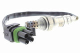 Oxygen Sensor - V46-76-0010