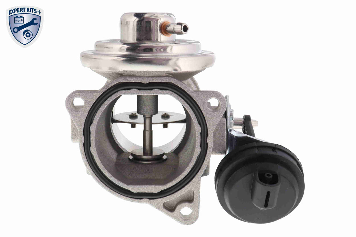 Valve, exhaust gas recirculation - V10-63-0021-1
