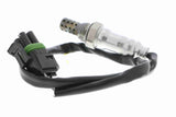 Oxygen Sensor - V46-76-0016
