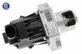 Valve, exhaust gas recirculation - V24-63-0001