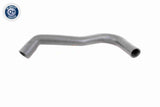 Charge Air Hose - V25-0943