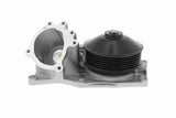 Water Pump, engine cooling - V20-50066