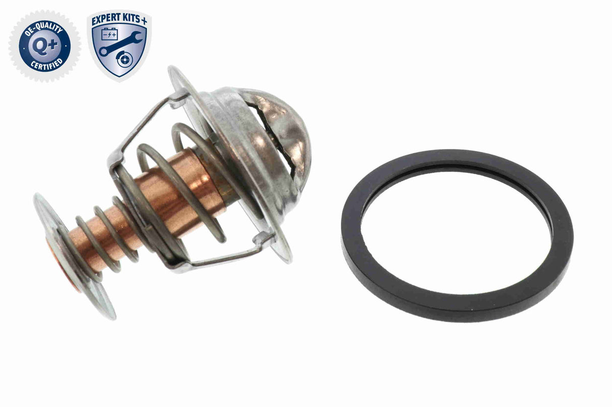Thermostat, coolant - V22-99-0011
