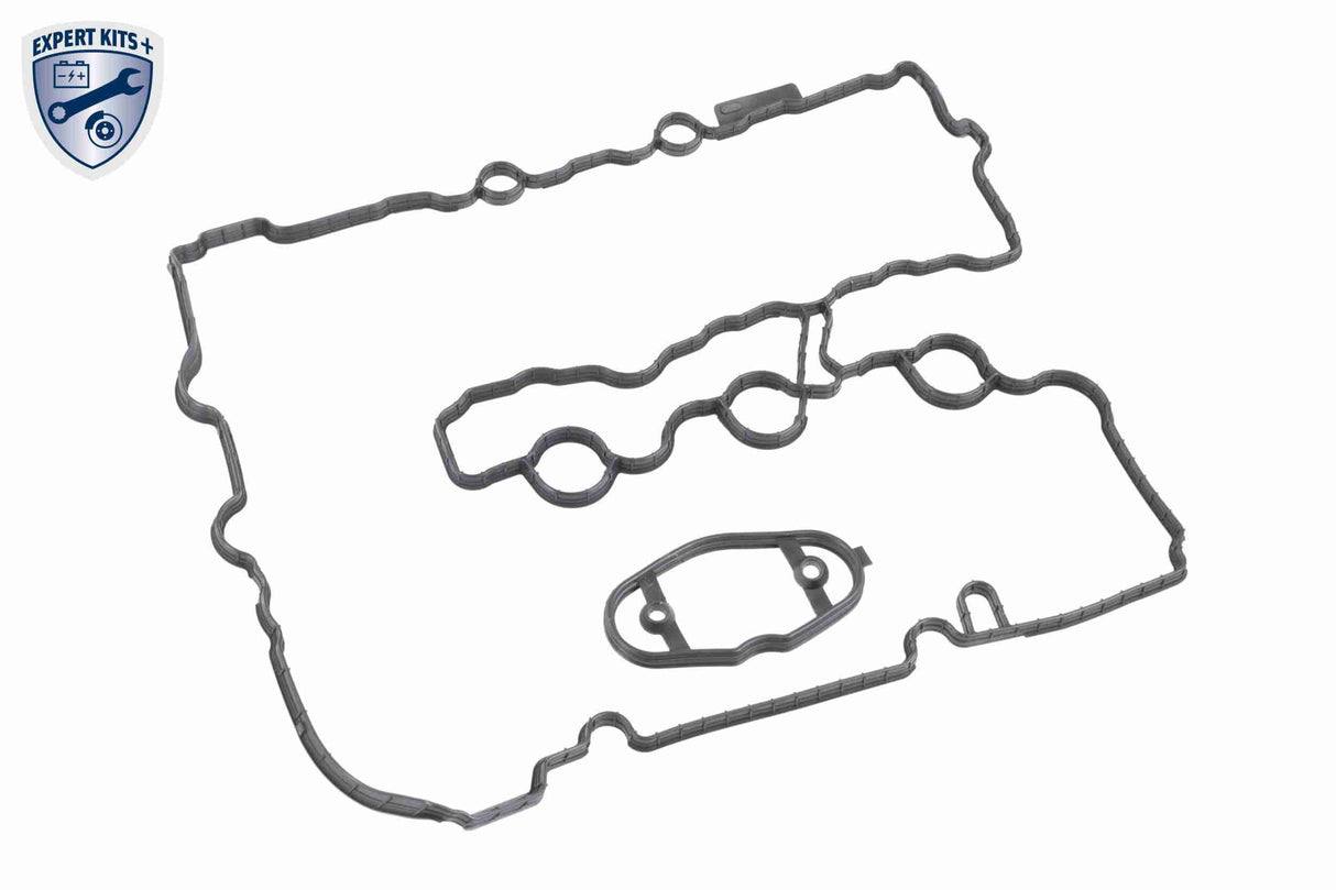 Cylinder Head Cover - V20-3981