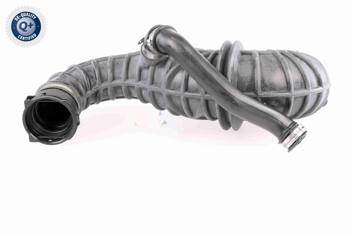 Intake Hose, air filter - V25-0795