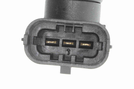 Sensor, camshaft position - V51-72-0156
