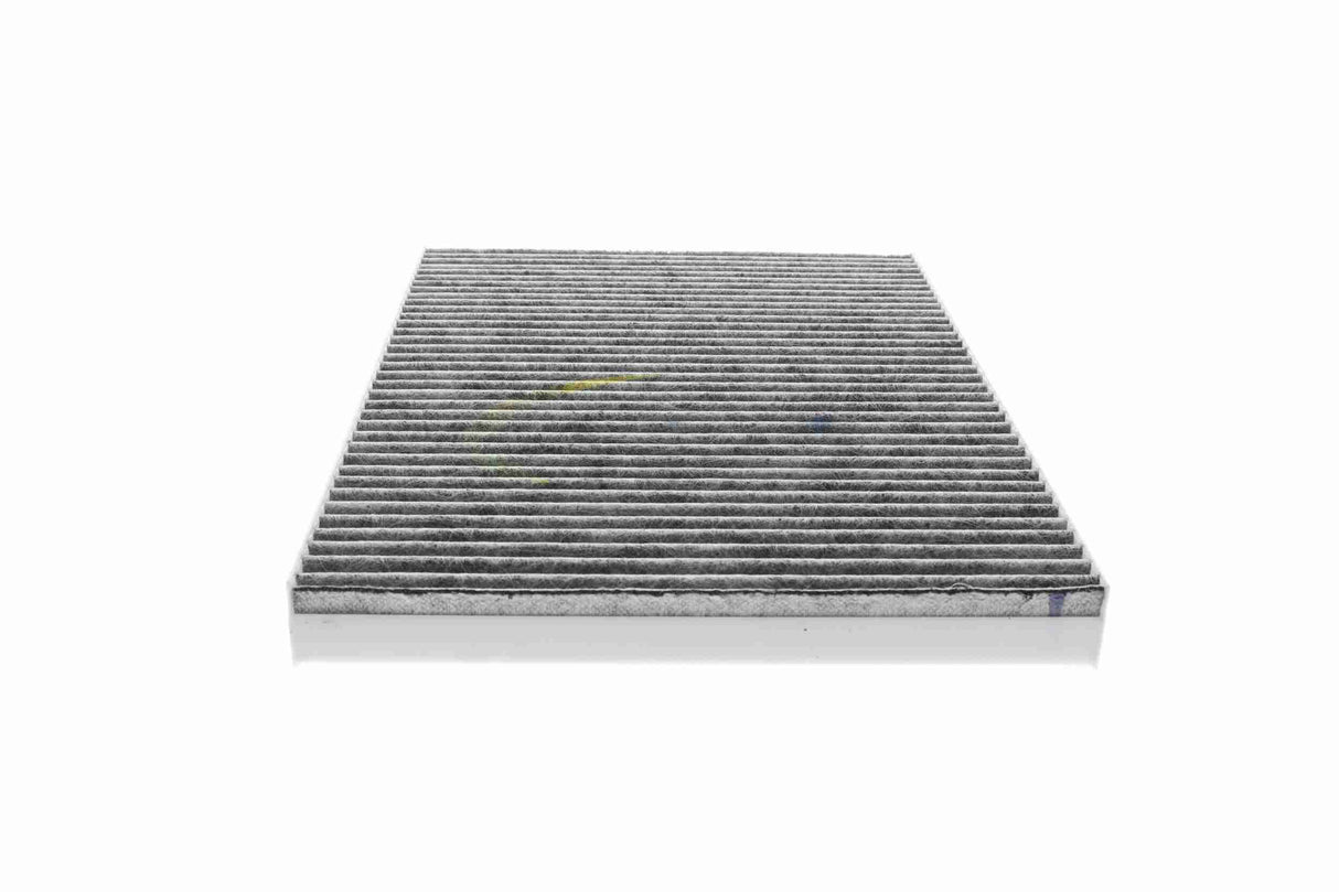 Filter, cabin air - V10-31-1013