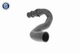 Radiator Hose - V20-2462