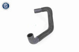 Radiator Hose - V25-1223
