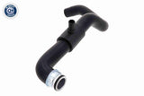 Radiator Hose - V42-0836