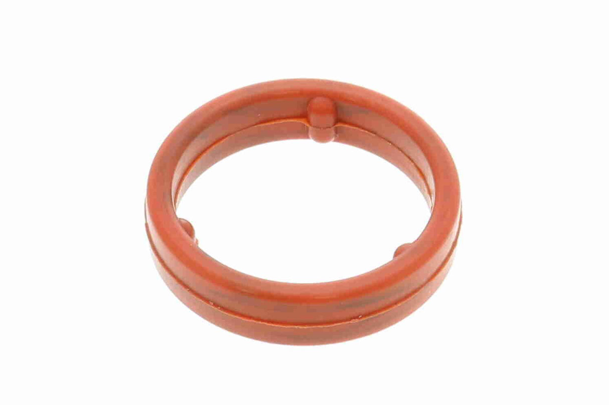 Gasket, oil cooler - V15-60-96064