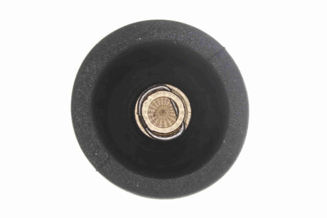 Plug, spark plug - V30-70-0024