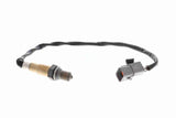 Oxygen Sensor - V52-76-0016