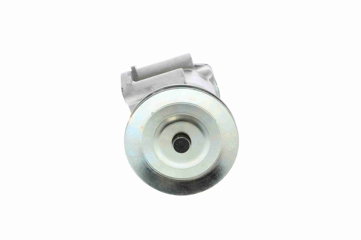 Water Pump, engine cooling - V24-50011