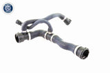 Radiator Hose - V20-1745