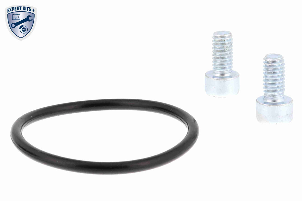 Control Element, parking brake caliper - V10-77-1070