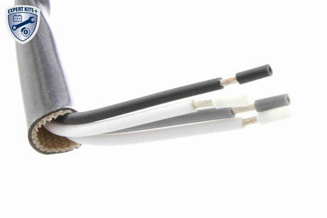 Oxygen Sensor - V99-76-0002