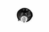 Shock Absorber - V10-4955