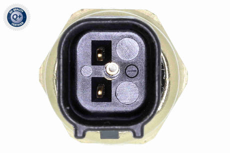 Oil Pressure Switch - V25-73-0131