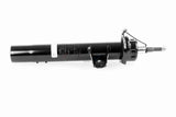 Shock Absorber - V20-2181