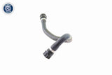 Radiator Hose - V20-1753