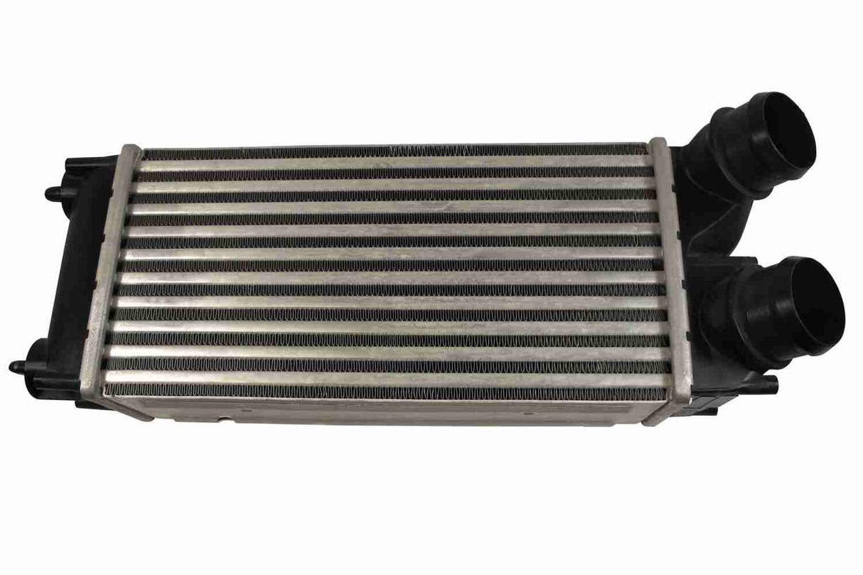 Charge Air Cooler - V22-60-0009