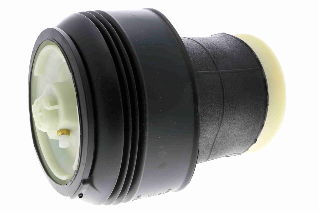 Air Suspension Strut - V20-50-0010-1