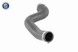 Charge Air Hose - V48-0195