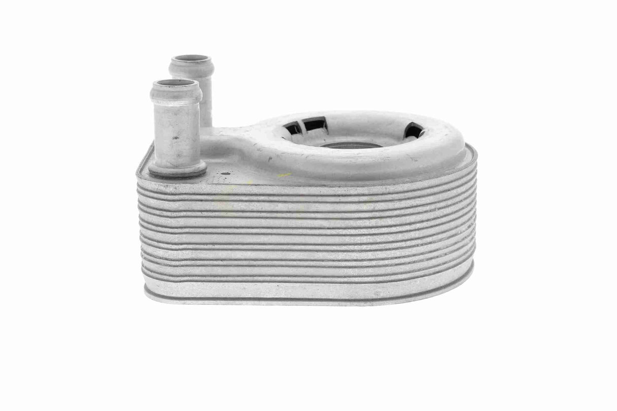 Oil Cooler, engine oil - V25-60-0043