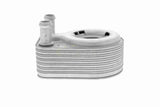 Oil Cooler, engine oil - V25-60-0043