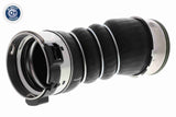 Charge Air Hose - V20-3656