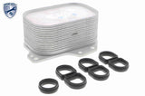 Oil Cooler, engine oil - V15-60-6063